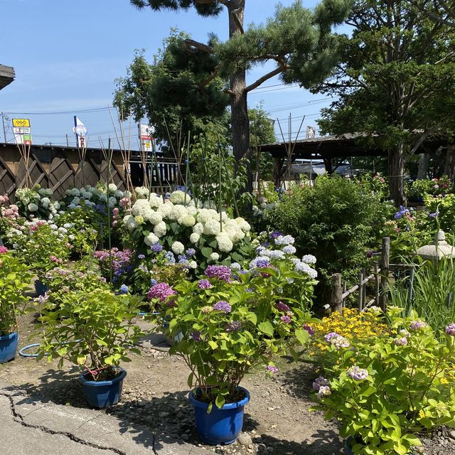 【北海道】旭川で酒造りを学ぶ