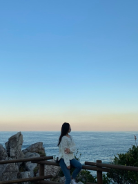 동해 가볼만한 곳 :: 🏖추암해수욕장🏖