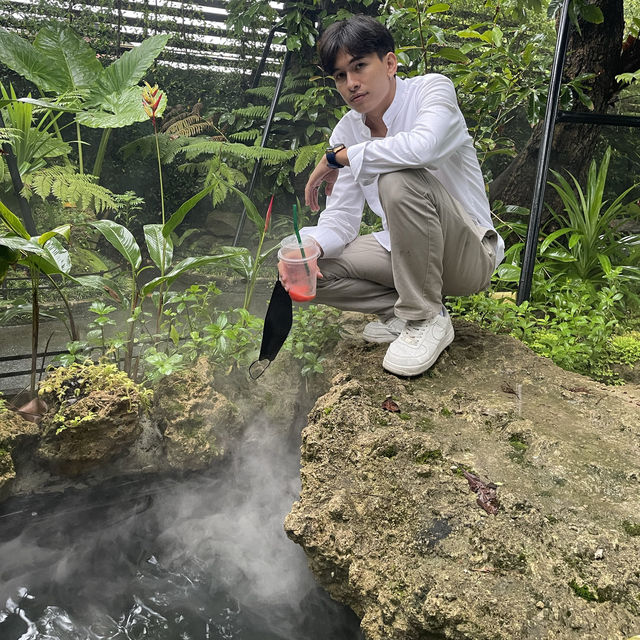 หลงป่าคาเฟ่ อุดรธานี📌