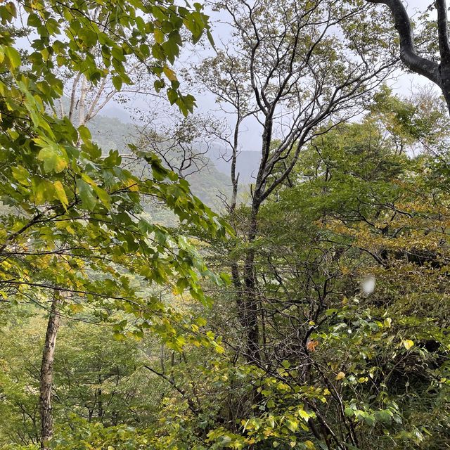 지리산 국립공원 단풍놀이🍁🍂