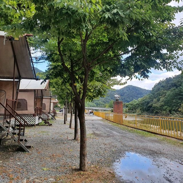 캠핑과 글램핑 어떤걸루 할래?? 내키는대로 해~ 가평별빛누리캠핑장⛺️