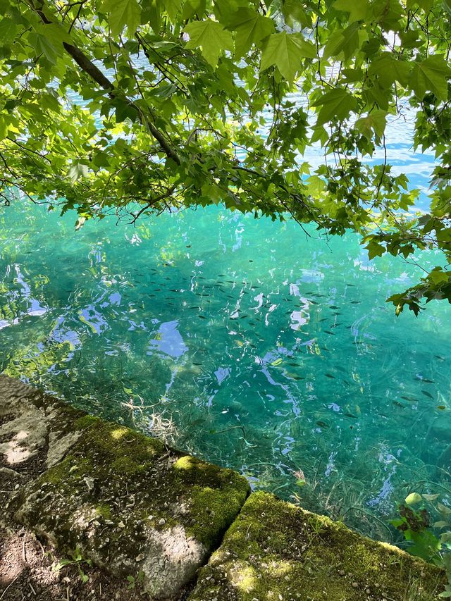 절로 수영이 하고싶어지는 곳, [Lake Bled 블레드호수]