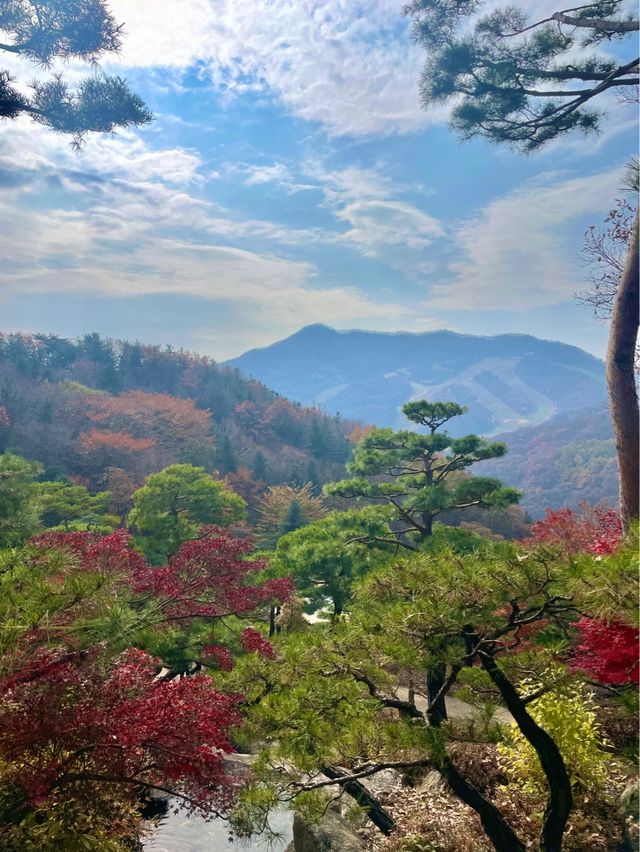 단풍여행에서 꼭 가야할 화담숲✨