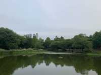 성수동, 봄의 서울숲!!