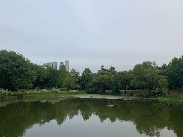 성수동, 봄의 서울숲!!