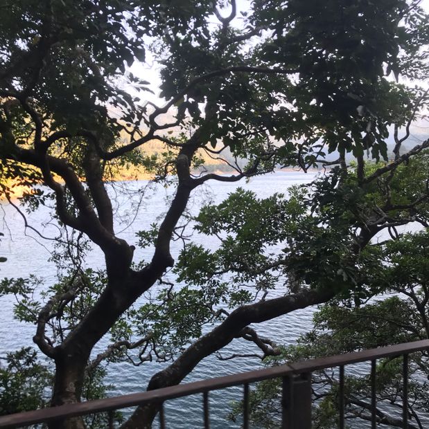 Needle hill and stunning view of Shing mun water reservoir 