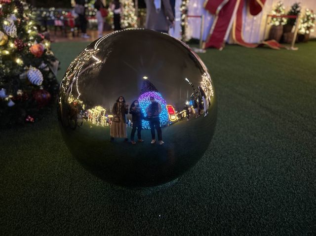 Christmas Attraction #11: The Biggest Outdoor Christmas Tree