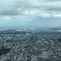 The beauty of Tokyo Skytree