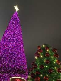 biggest outdoor Christmas tree for the year 2022