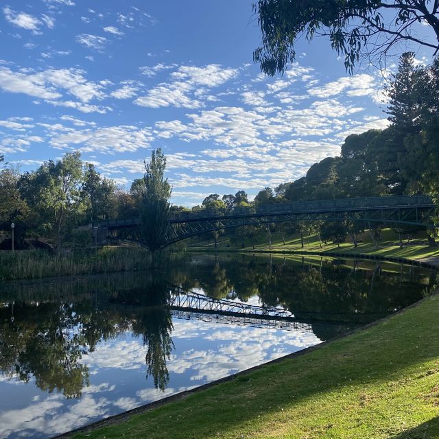 👒Morning walk in ALD ☀️