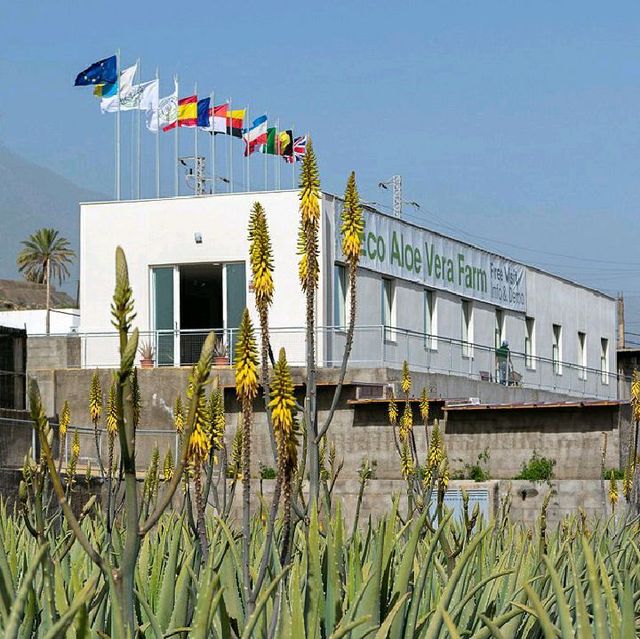 A must-visit!