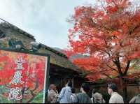 京都[紅葉めぐり]    　ー獅子吼の庭ー　宝厳院にて心を癒す