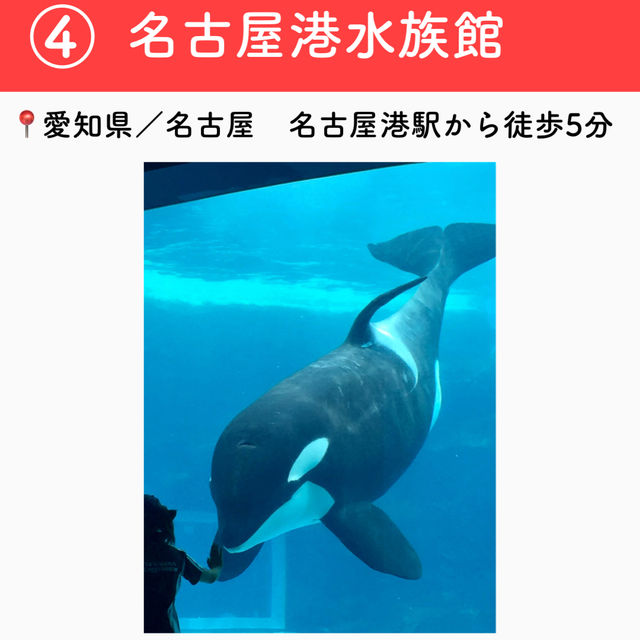 【愛知】行ってよかった愛知の観光地6選