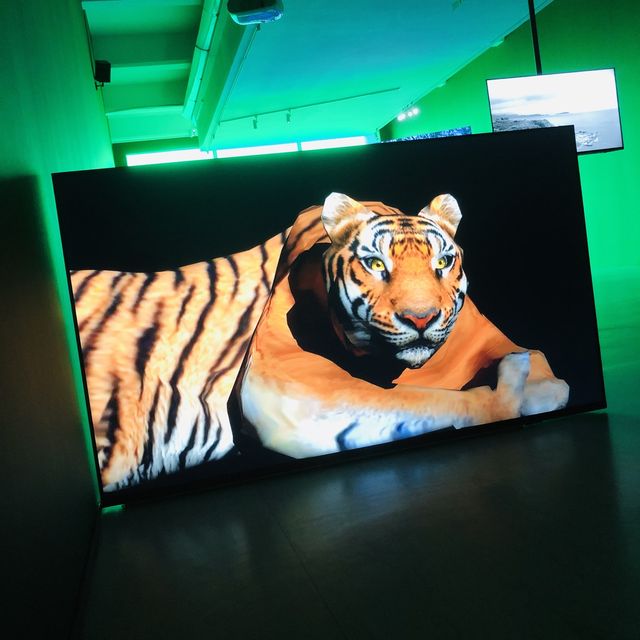 Taipei Art Awards 2021 臺北美術獎🏆北美館