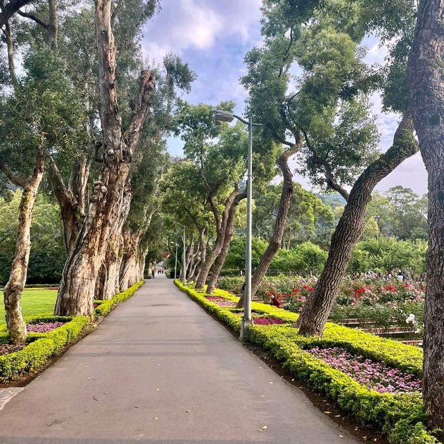 賞花必到的士林官邸玫瑰園🌹🥀