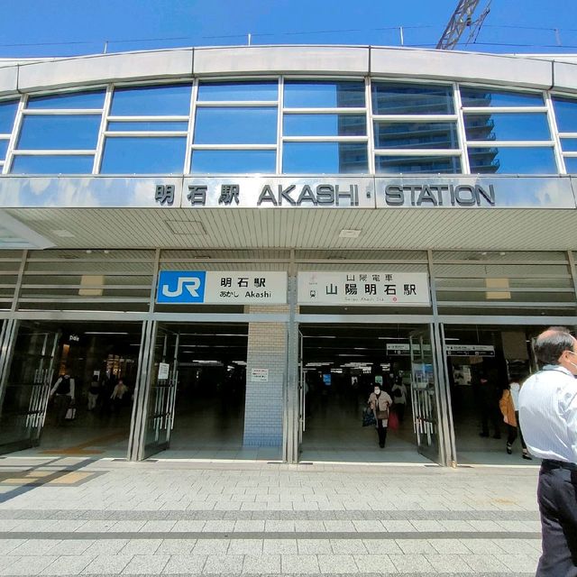 【兵庫県 明石市】季節の花咲く明石駅🌸🌸🌸