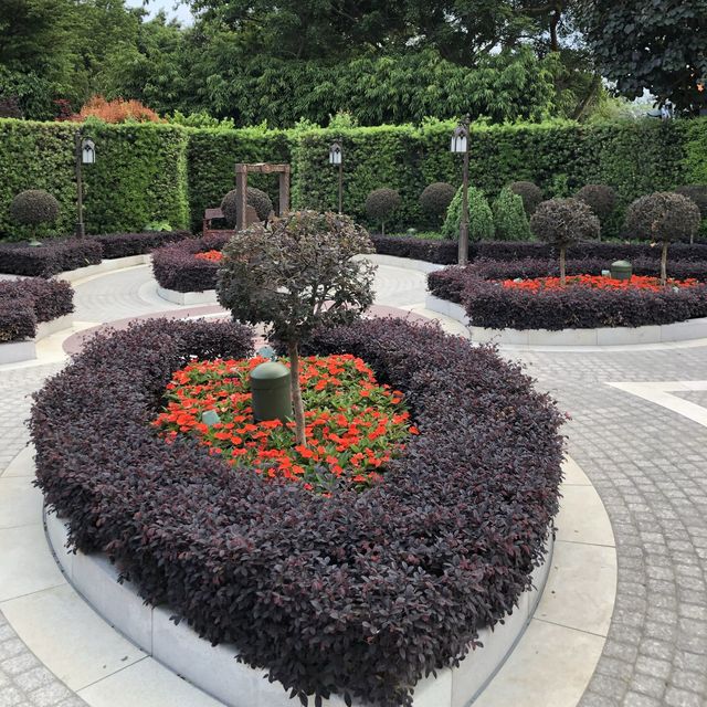 🏰迪士尼樂園賞花攻略🌺