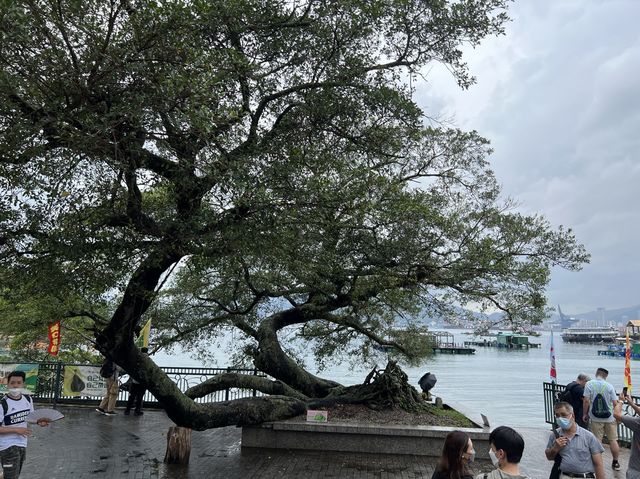 吉祥之灣，端午吉澳遊