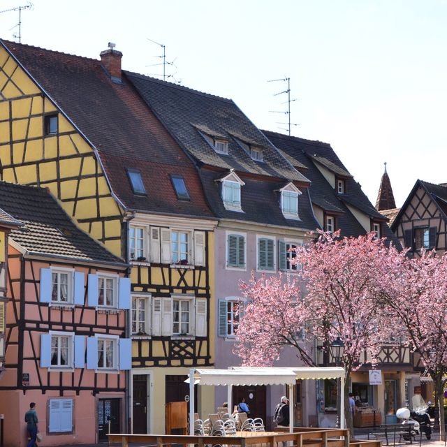法國Colmar 🌸小威尼斯