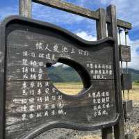 台東伯朗大道｜一望無際的稻田景色，超級遼闊