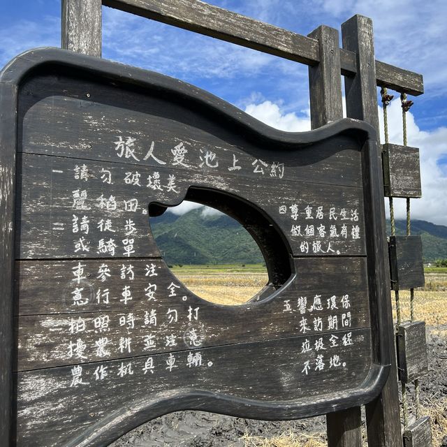 台東伯朗大道｜一望無際的稻田景色，超級遼闊