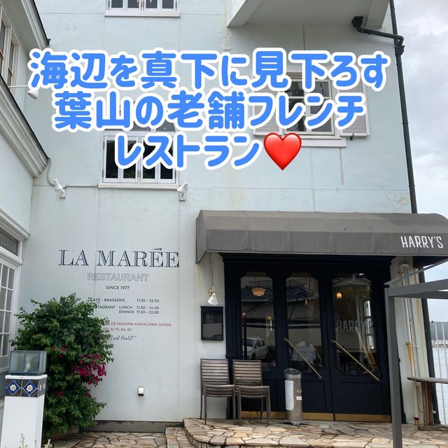 海沿いに佇む老舗フレンチでリゾート気分を満喫💕