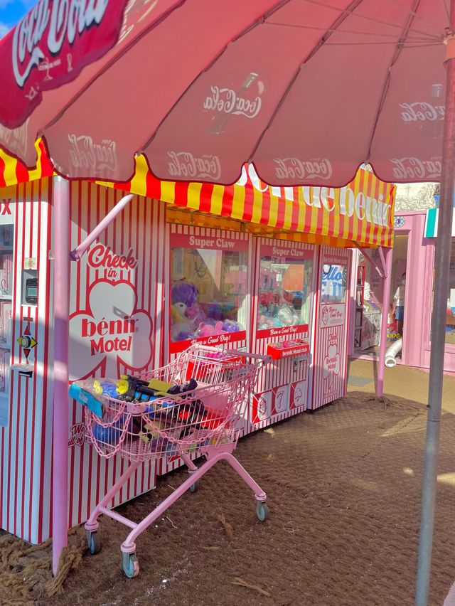 SNS에서 핫한 카페, 노티드(KNOTTED)💕