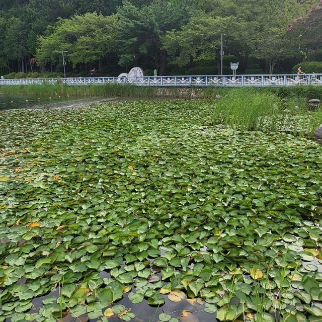 도심 속의 여유를 느낄 수 있는 공간 창원 '용지호수공원'
