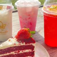 ภูสิตาคาเฟ่ ลานสกา
