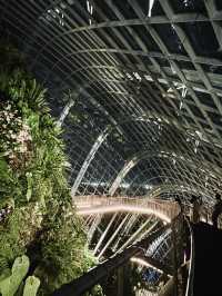 คืนสวยๆ ที่ Flower Dome สิงคโปร์ 🍃🌃