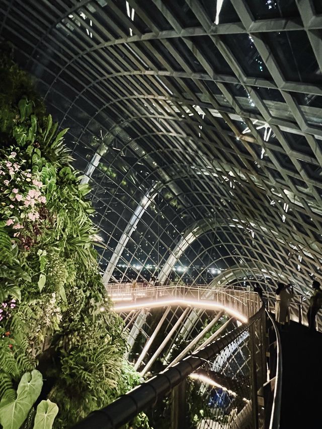 คืนสวยๆ ที่ Flower Dome สิงคโปร์ 🍃🌃