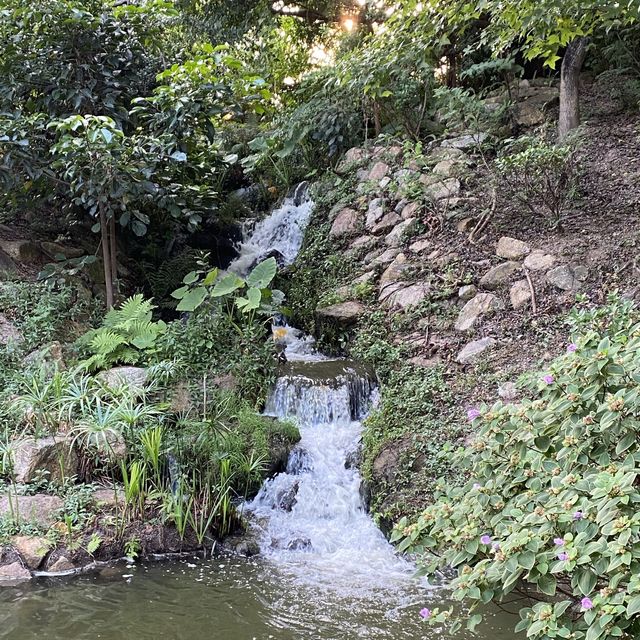元朗公園一日遊