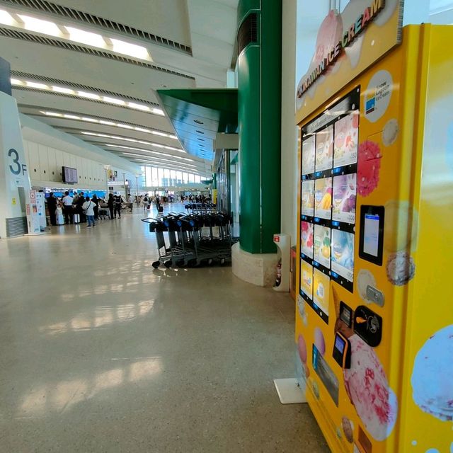 【沖縄 那覇】那覇空港で沖縄だけのアイス✨