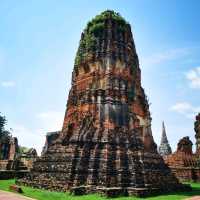 ร่องรอยของอดีตของความเจริญรุ่งเรือง วัดมหาธาตุ