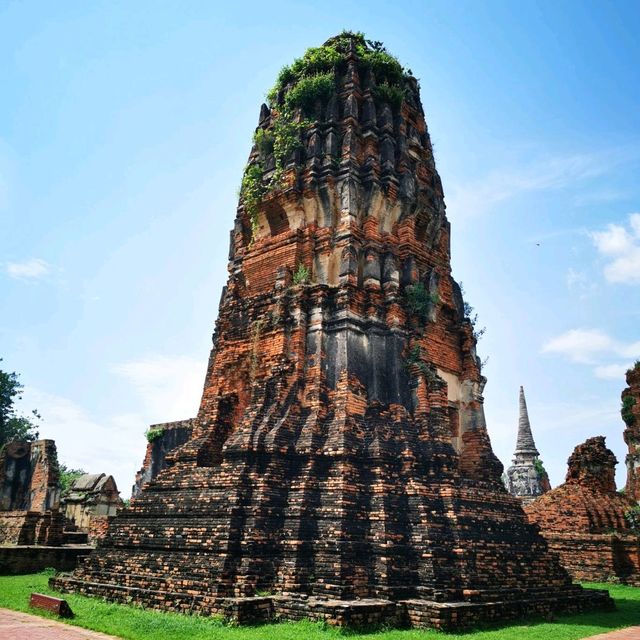 ร่องรอยของอดีตของความเจริญรุ่งเรือง วัดมหาธาตุ