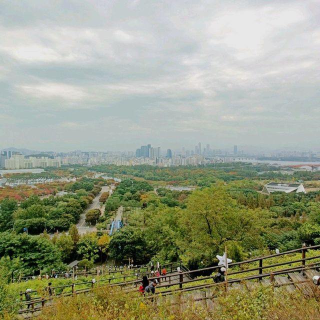 Bird's eye view of Surrounding parks