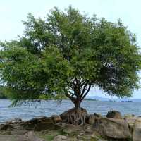 Batu Passa, Samosir Island