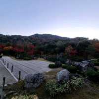 世界文化遺産【天龍寺】✨