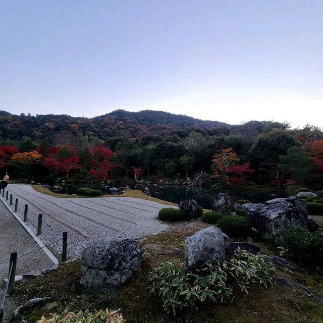 世界文化遺産【天龍寺】✨