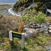 NZ Mt Cook Red Tarns