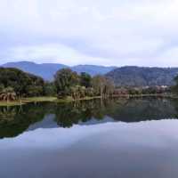 Riding Paddle Boat in Taiping Lake Gardens