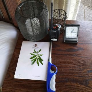 Stay at the Camp in the Safari