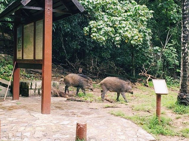 香港仔水塘行山