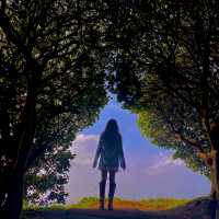 달달함의 시각화 키세스 존, 도두봉🌳