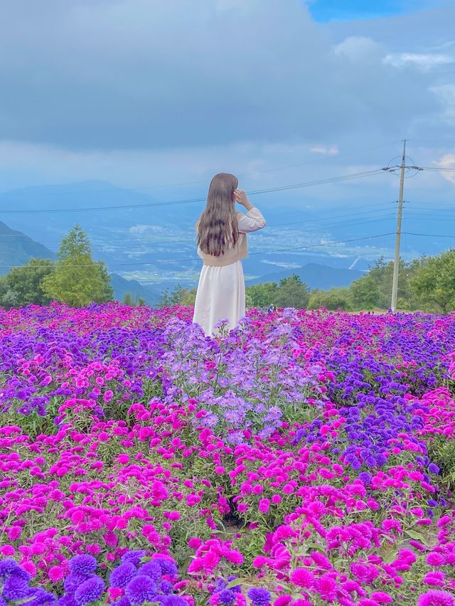 끝없는 보라색, 거창 감악산💜