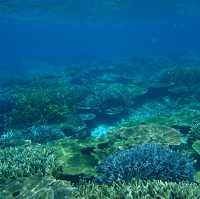 【沖縄･池間島】日本最大級の珊瑚礁！八重干瀬