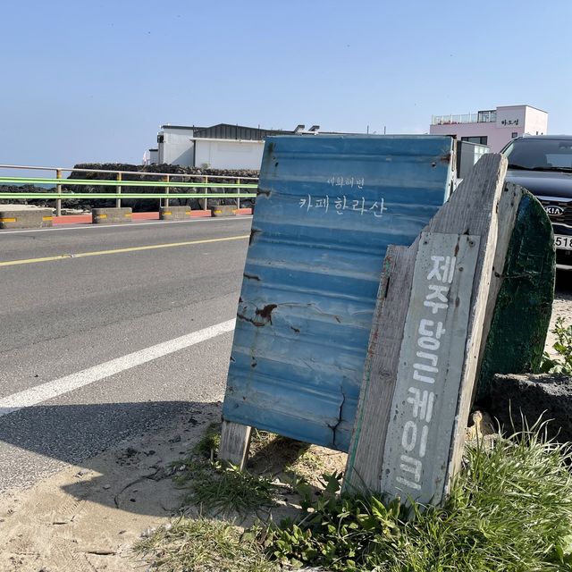 제주 세화 오션뷰 카페, 카페 한라산⛰