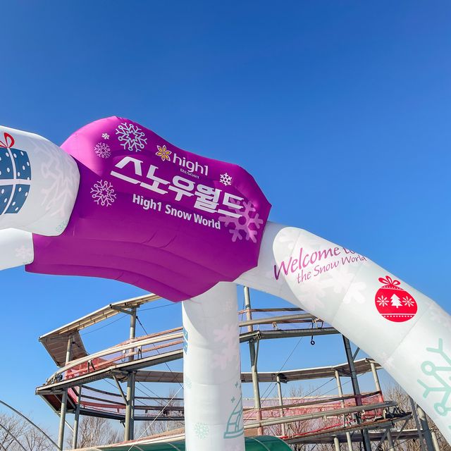 하이원에서 눈꽃보기!