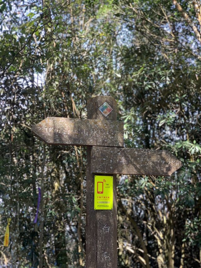谷關七雄：白毛山，難度第六之我登頂了🏔