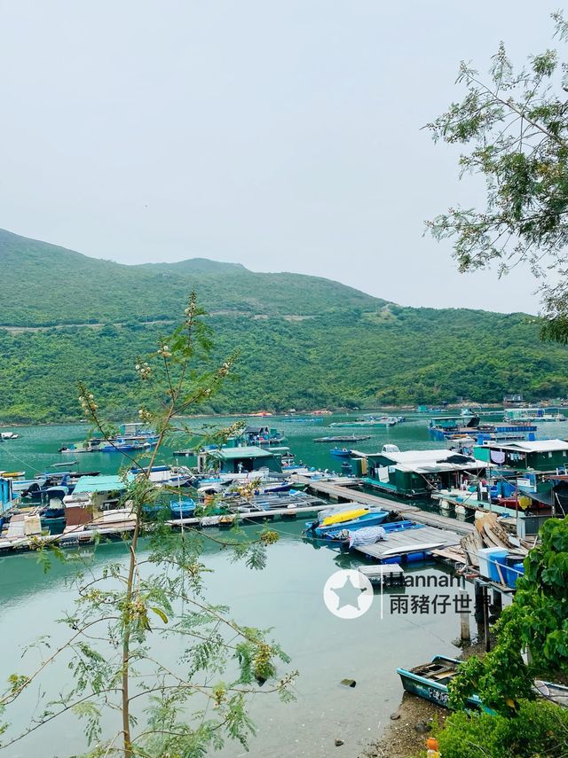 海鮮+放風箏